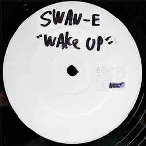 DJ Swan-e & Undacut - Change My Life album flac