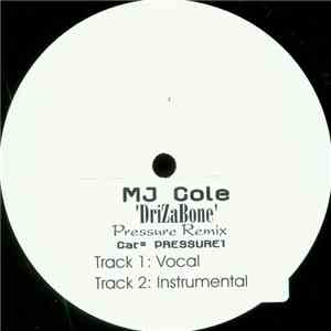 DriZaBone - Pressure (MJ Cole Mixes) album flac