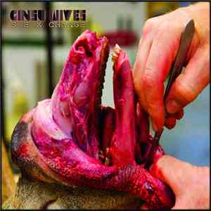 Ginsu Wives - Sex Change album flac