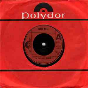 James Wells - My Days Are Numbered album flac