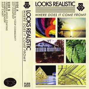 Looks Realistic - Where Does It Come From? album flac
