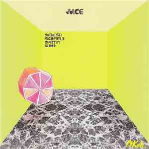 Medeski Scofield Martin Wood - Juice album flac