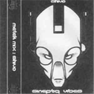 Metek - Sineptiq Vibes album flac