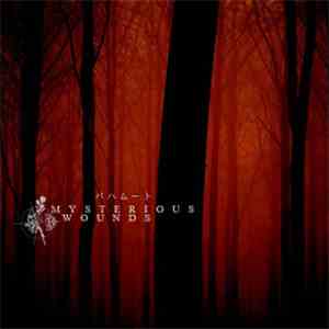 バハムート - Mysterious Wounds album flac