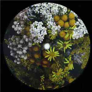 Olin - From Iceland album flac