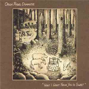 Orion Rigel Dommisse - What I Want From You Is Sweet album flac