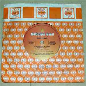 Pink Floyd - Learning To Fly album flac