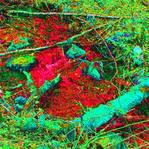 Razxca - May 17, 2010 (Elr) album flac