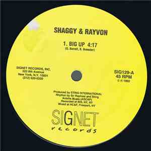 Shaggy & Rayvon - Big Up album flac