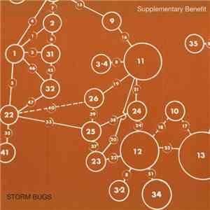 Storm Bugs - Supplementary Benefit album flac