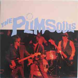 The Plimsouls - One Night In America album flac