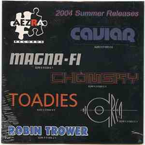 Various - 2004 Summer Releases album flac