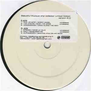 Various - Beautiful Muzique Version 2.0 album flac