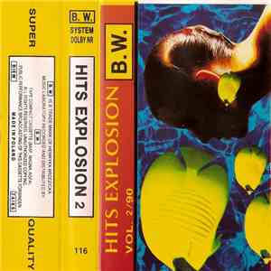 Various - Hits Explosion Vol. 2/90 album flac