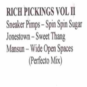 Various - Rich Pickings Vol II album flac