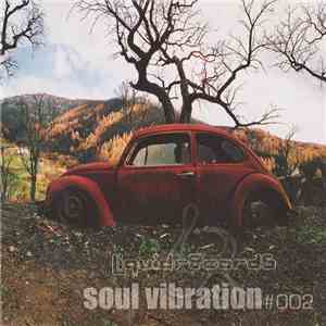 Various - Soul Vibration#002 album flac
