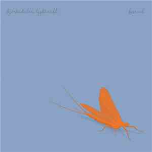 Bjerkedalen Lydkraft - Farvel album flac