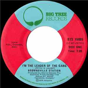 Brownsville Station - I'm The Leader Of The Gang / Fast Phyllis album flac