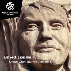 David Laake - Knows What You Are Thinking EP album flac