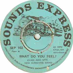 Evan And Sam, New Sunshine Band - What Do You Feel? album flac