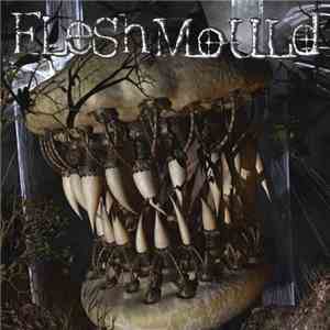 Fleshmould - Fleshmould 2k album flac
