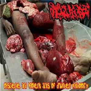 Hydrocephalus - Obscene And Violent Acts Of Drunken Pathology album flac