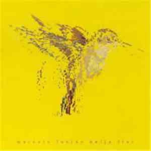 Marcelo Fabian - Beija Flor album flac