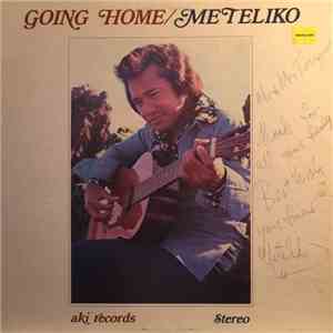 Meteliko - Going Home album flac
