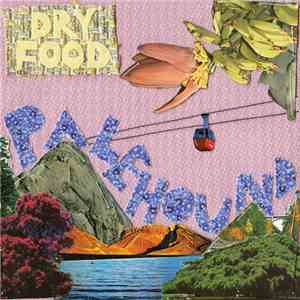 Palehound - Dry Food album flac