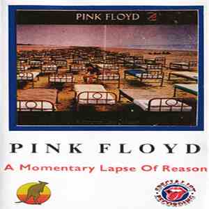 Pink Floyd - A Momentary Lapse Of Reason album flac