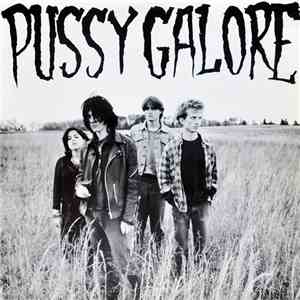 Pussy Galore  - Groovy Hate Fuck album flac