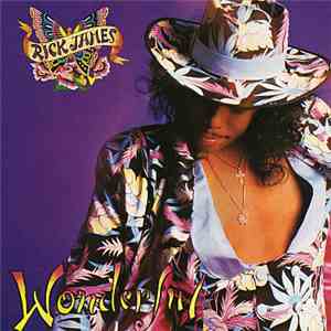 Rick James - Wonderful album flac