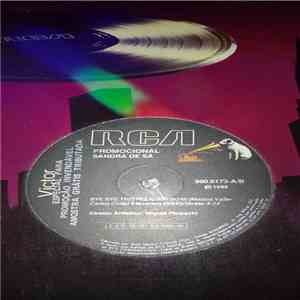 Sandra De Sá - Bye Bye Tristeza album flac