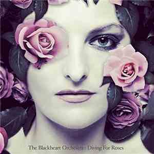 The Blackheart Orchestra - Diving For Roses album flac