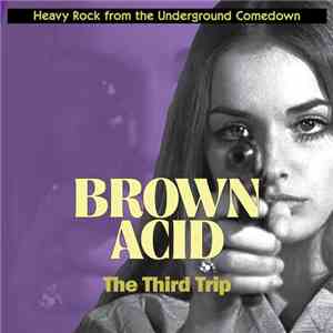 Various - Brown Acid: The Third Trip album flac