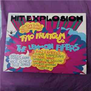 Various - Buddah's Hit Explosion album flac