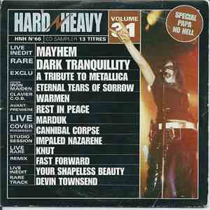 Various - Hard N' Heavy Vol. 31 album flac