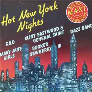 Various - Hot New York Nights album flac