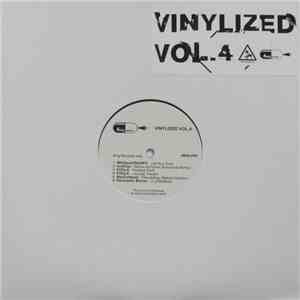 Various - Vinylized Vol.4 album flac