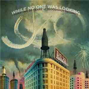 Various - While No One Was Looking - Toasting 20 Years Of Bloodshot Recordings album flac