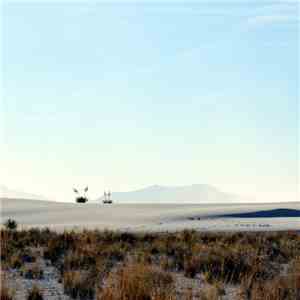 Violet Sands - Gone album flac
