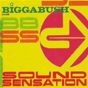 Biggabush - Sound Sensation album flac
