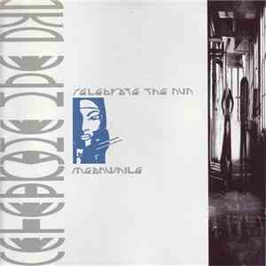 Celebrate The Nun - Meanwhile album flac