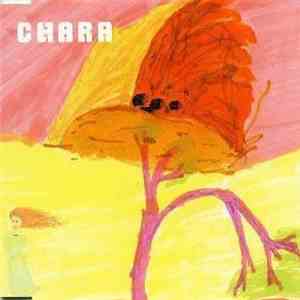Chara - 大切をきずくもの album flac