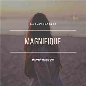 David Carson  - Magnifique album flac