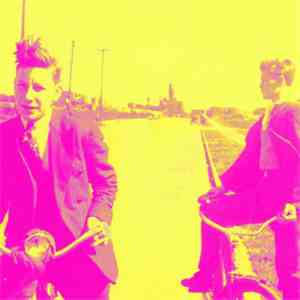 Foxes In Fiction - Swung From The Branches album flac