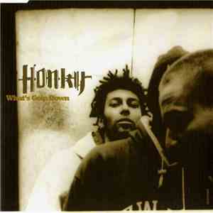Honky - What's Goin Down album flac