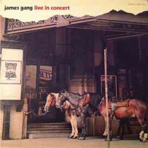 James Gang - Live In Concert album flac