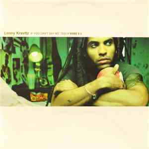 Lenny Kravitz - If You Can't Say No album flac