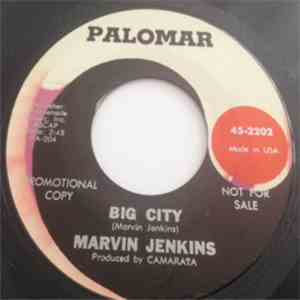 Marvin Jenkins - Big City album flac